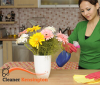 domestic_cleaning