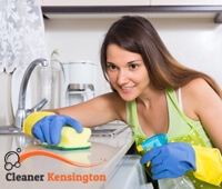 domestic_cleaning1