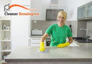 Professional Cleaning Services