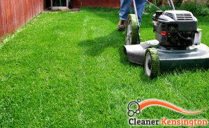 lawn-mowing-services-kensington