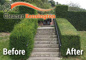 Before and After Hedge Trimming