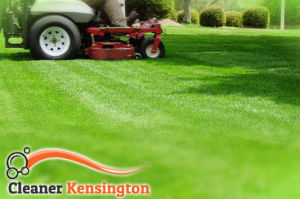 grass-cutting-kensington