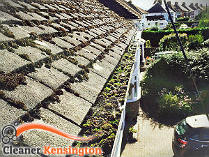 gutter-cleaning-kensington